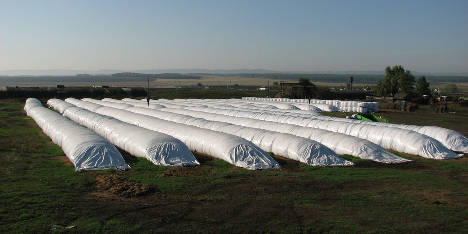 Grain storage